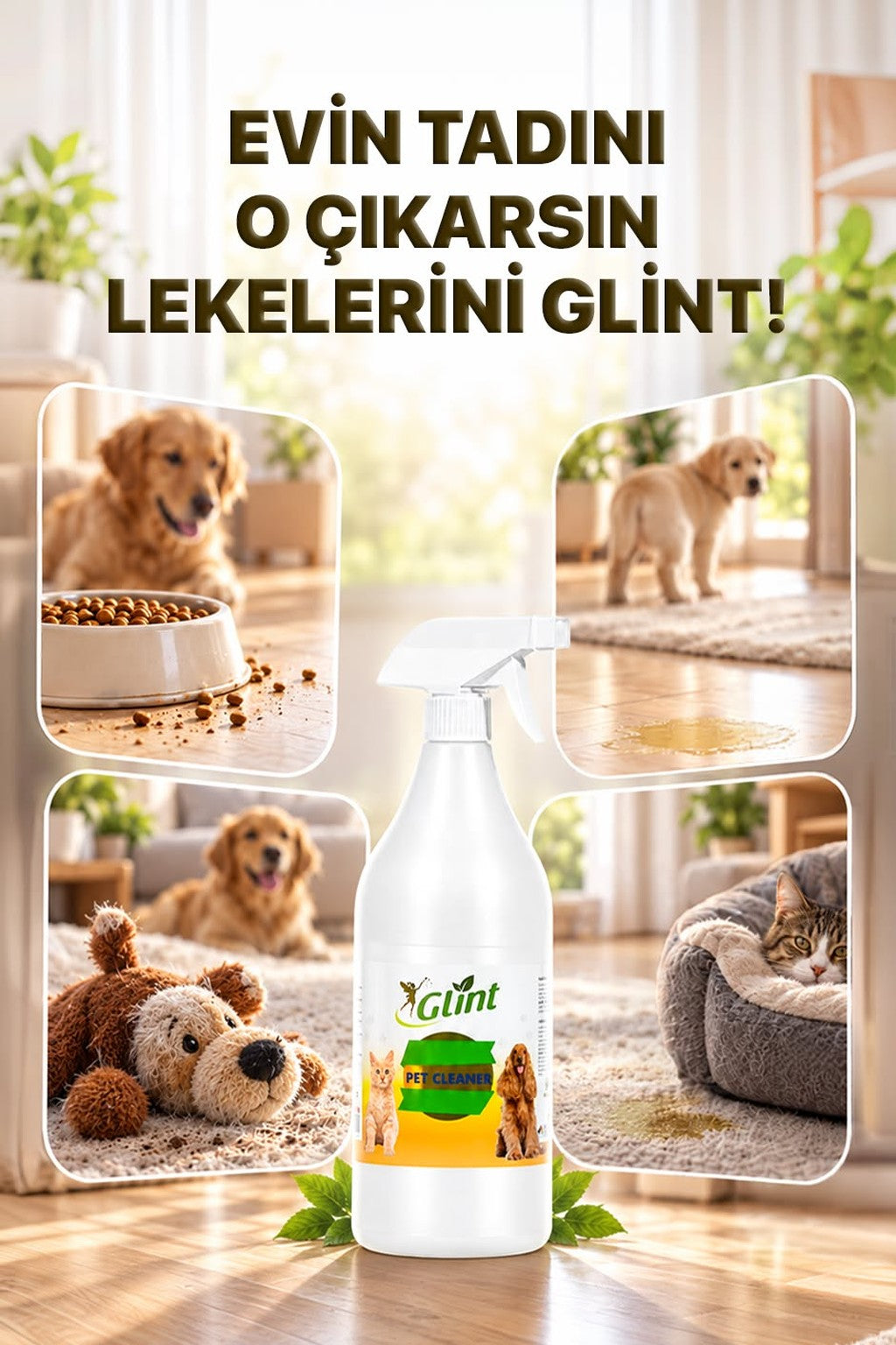 Glint Pet Cleaner kullanım alanları: mama kabı çevresi, zemin, oyuncak ve yatak çevresi