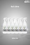 Glint Car 6X1 Lt Bitkisel İçerikli Oto Temizleyici